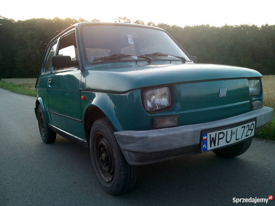 126p MALUCH Puławy sprzedam