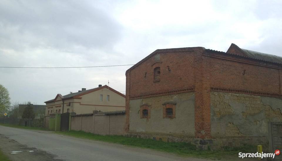 lokal do sprzedania Mogilno kujawsko-pomorskie