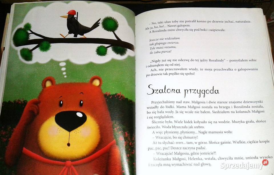 Pamiętnik Czarnego Noska Janina Porazińska Pozostałe sprzedam