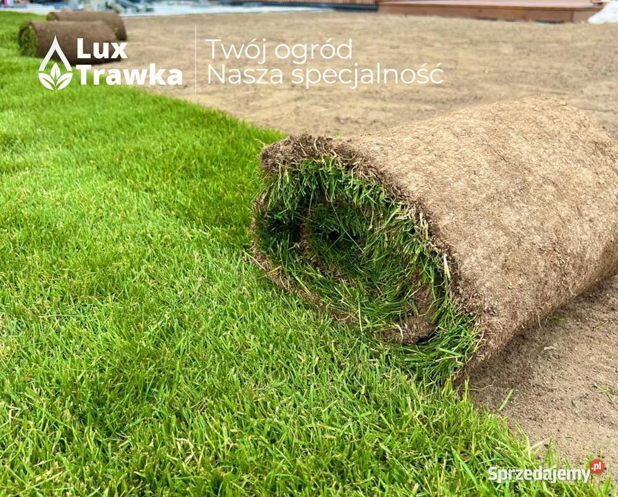 Trawa w rolce Dostawa na terenie całej małopolskie Kraków