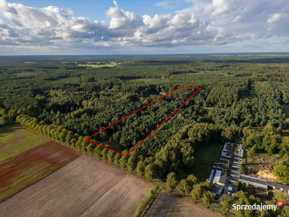 Działka z wydanymi WZ pod dom jednorodzinny 13zł/m2 Jędrzejewo