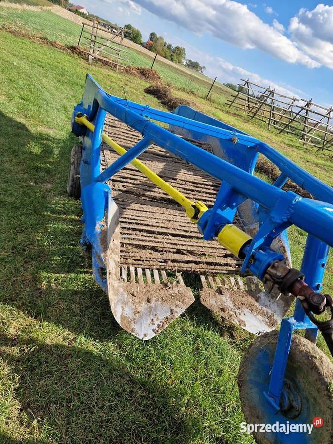 Kopaczka elewatorowa do ziemniaków Agromasz Pińczów