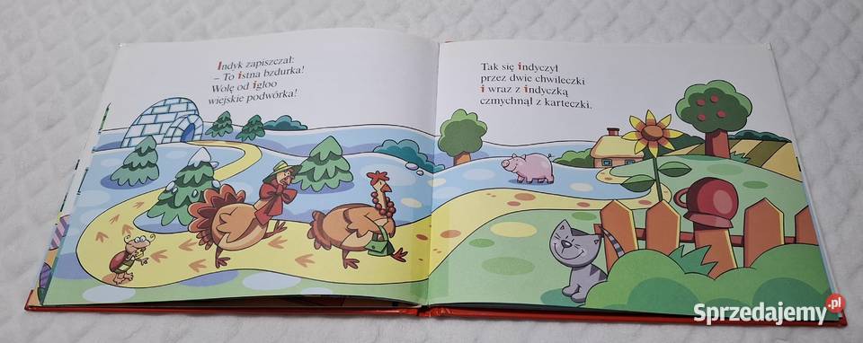 ABC Uczę się I insekt Strzałkowska Hachette 2007 ISBN 9788374489591