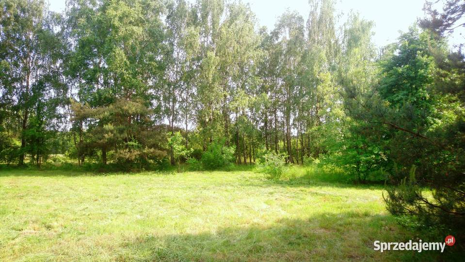 Sprzedam działkę 4828m2 Wkrą z prawem zabudowy Popielżyn-Zawady
