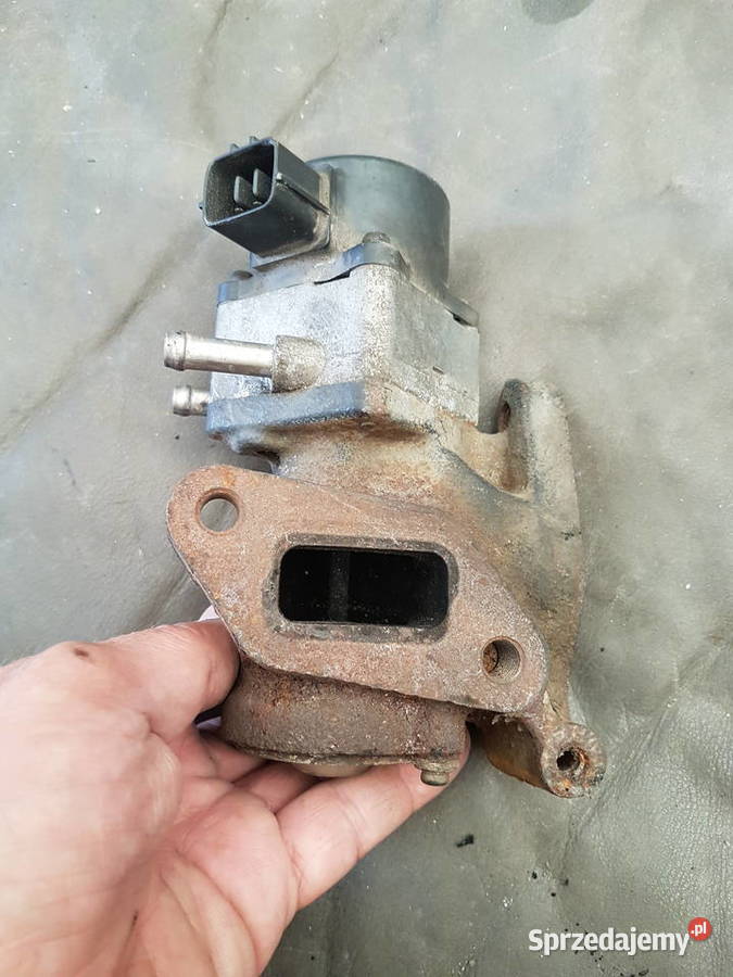 NISSAN NAVARA 25 DI D22 ZAWOR EGR Turkowice