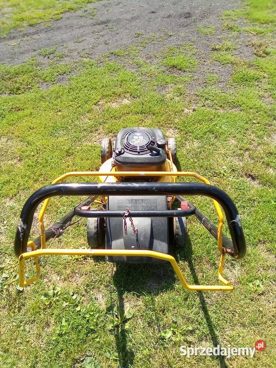 Kosiarka spalinowa ALKO 55 Kosiarki spalinowe dolnośląskie Krzewie Małe