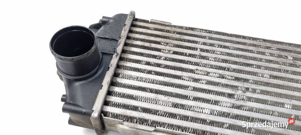 INTERCOOLER RENAULT TRAFIC II 8200411160 Lipno