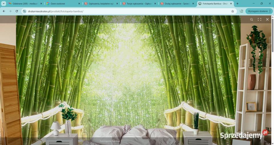 Fototapeta Bambus Zabrze