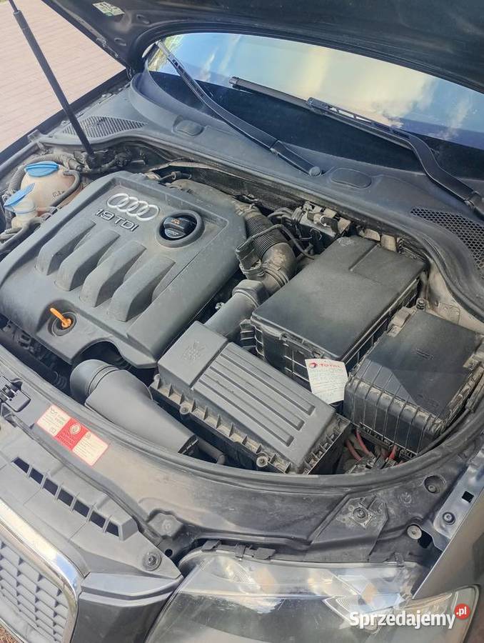 Audi A3 8p 5d 19tdi manualna Goraj