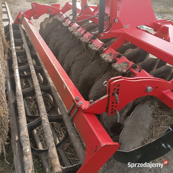 Talerzówka nieuszkodzony Gogolin