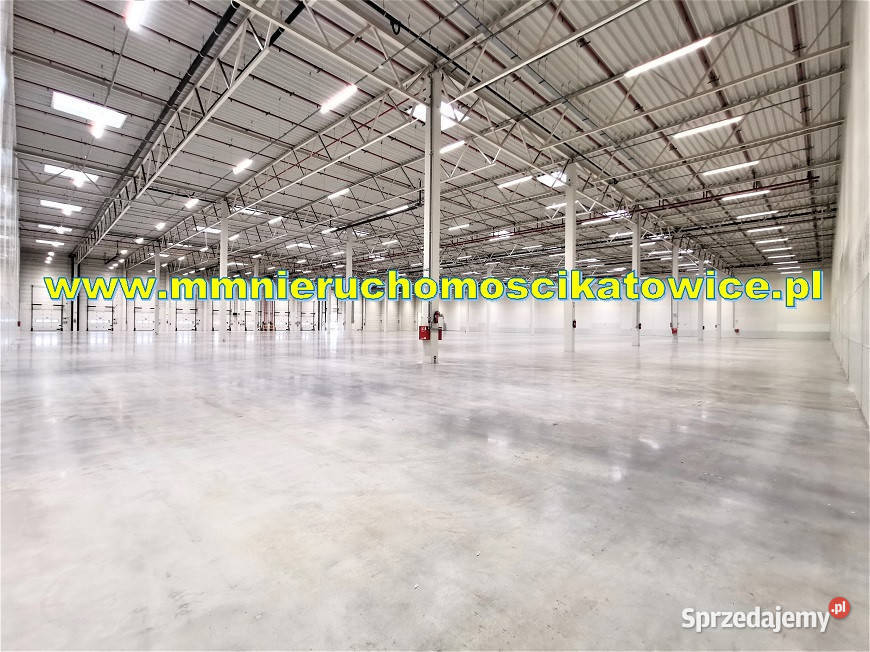Magazyny do wynajęcie 2500 do 10450 m2 łódzkie 10450m2 Piotrków Trybunalski