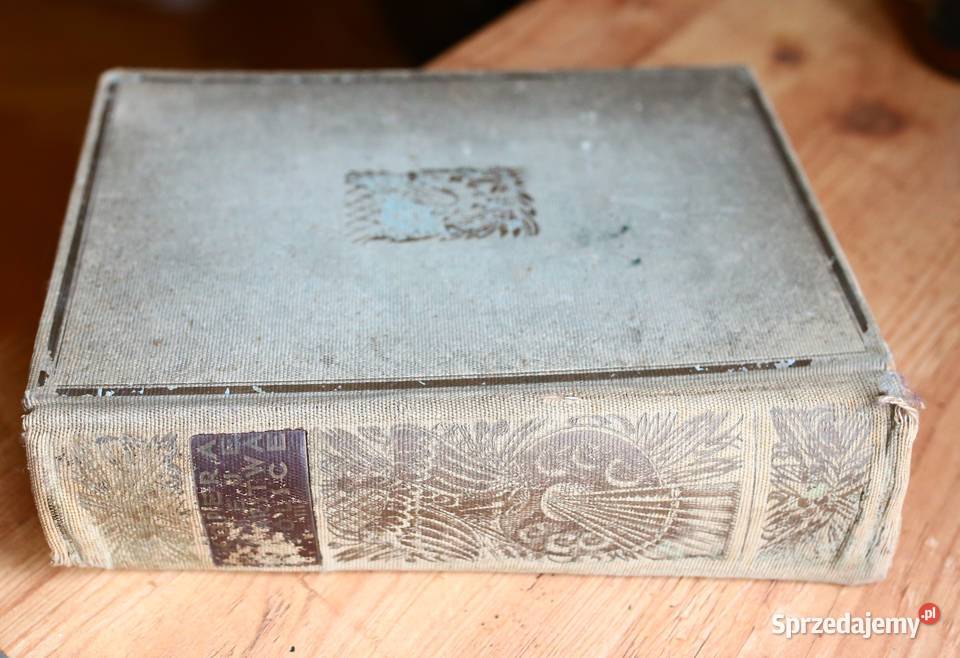 Malarstwo w Polsce XIX do XX wieku Feliks Kopera Gdańsk