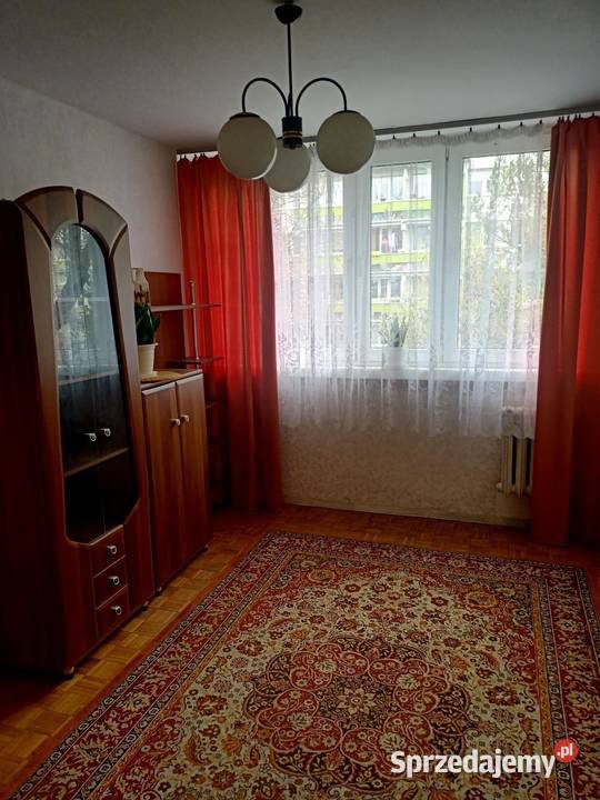 3pok 54met Żubrzej ROZKŁADBALKONPIWNICA Wrocław Sprzedaż