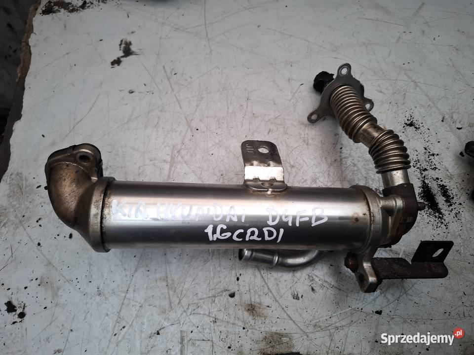KIA HYUNDAI 16 CRDI D4FB chłodnica spalin Kielce sprzedam