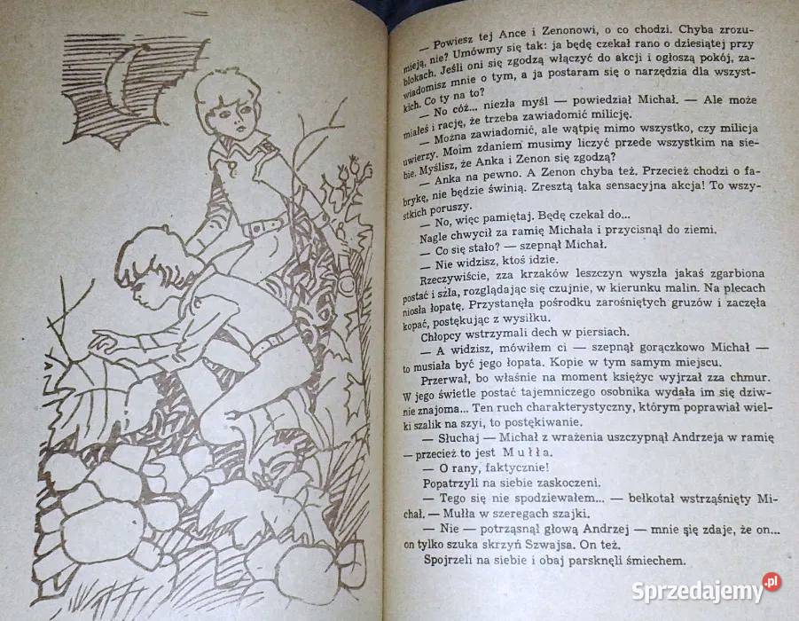 Awantura w Niekłaju Edmund Niziurski lubelskie Chełm sprzedam