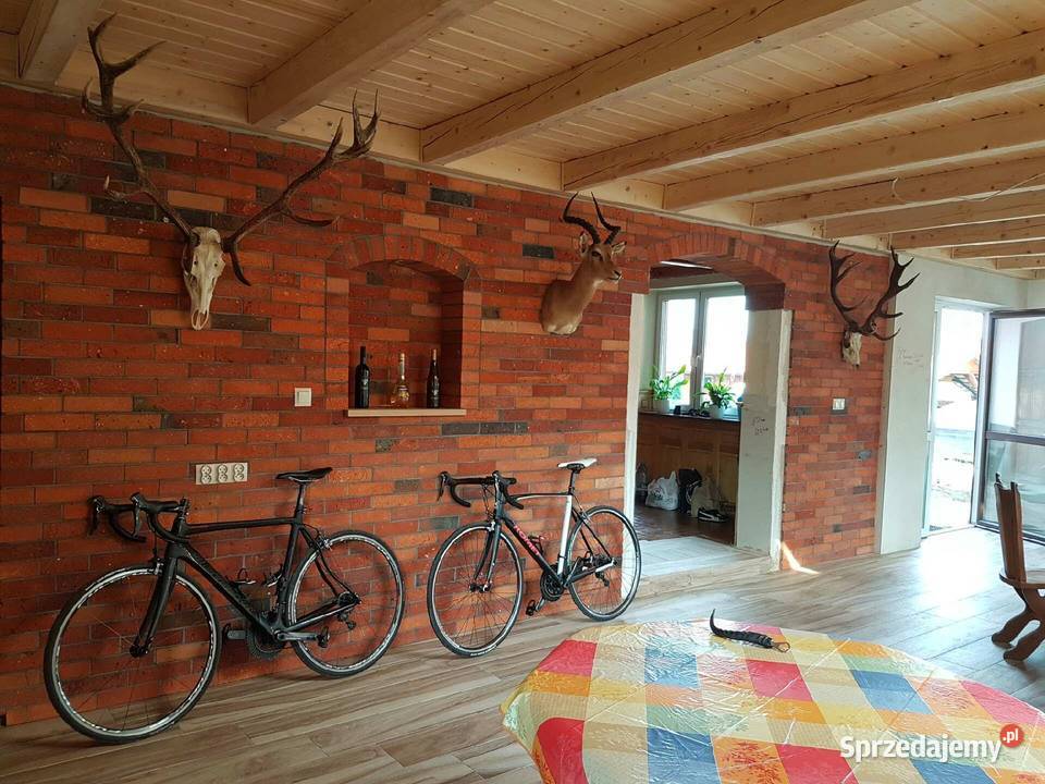 płytki z cegły loft stara cegła lica 1m2 wielkopolskie Pakosław