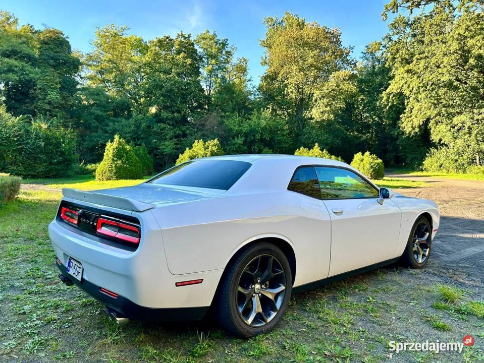 Dodge Challenger RT 2017r 5700cm3 Challenger Rawicz