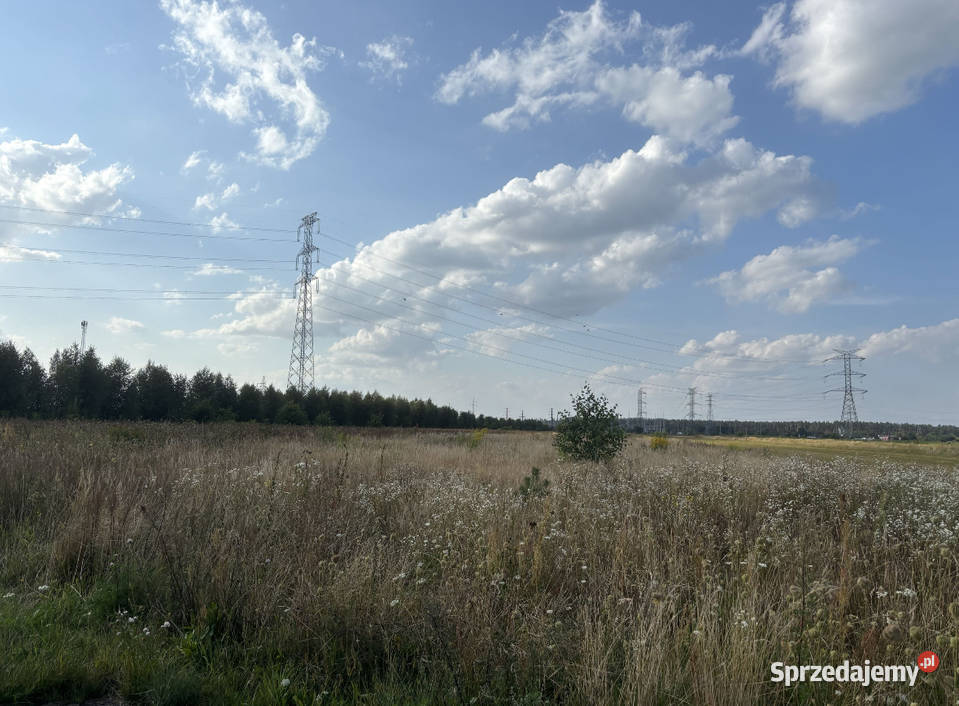 Działka budowlana Sprzedaż Turzyn