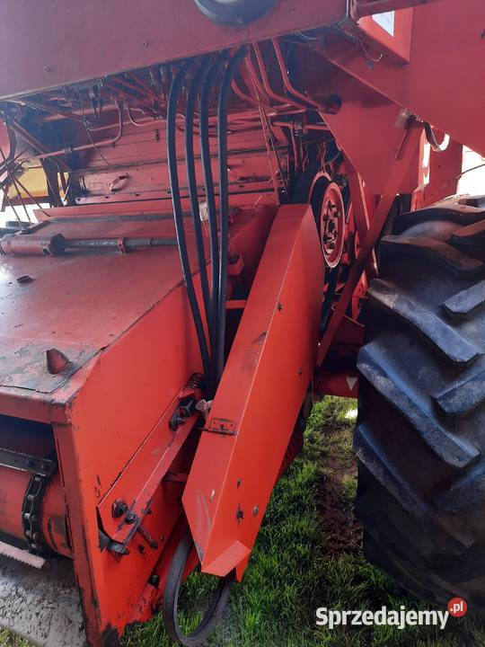 Bizon zo56 SUPER Leżajsk