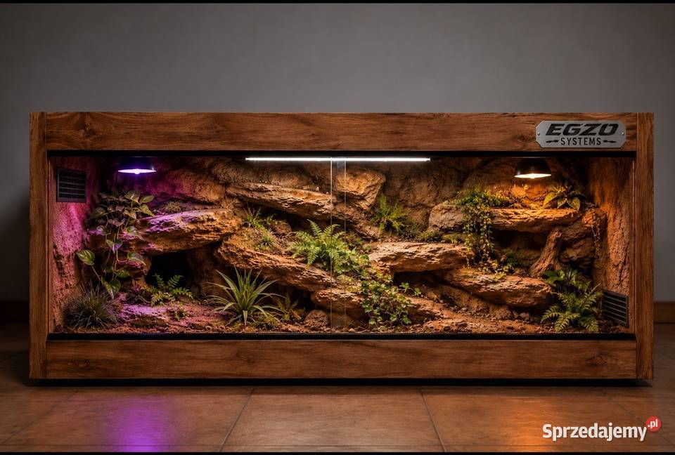 Terrarium profesjonalne agamy brodatej gekona Katowice sprzedam