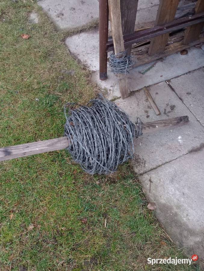 Drut kolczasty
