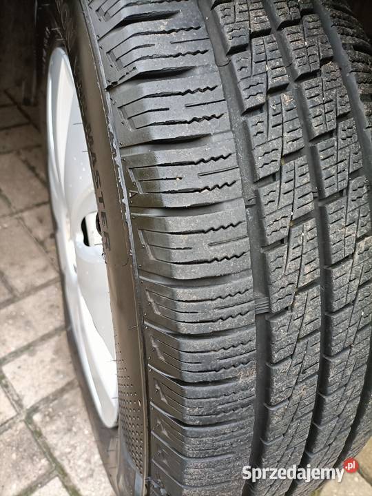 NISSAN PRIMASTAR 19 DCI LONG lubuskie Gorzów Wielkopolski