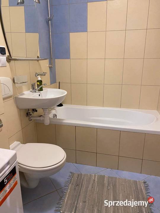 Przytulne mieszkanie na wynajem Toruń