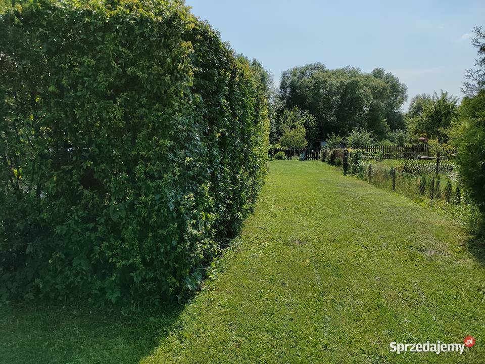 Działka ogrodowa ROD Zgoda Orzysz