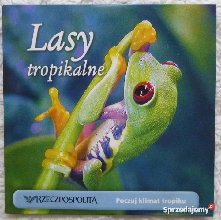 Film VCD Lasy tropikalne Poczuj klimat tropiku 1 płyta Warszawa sprzedam