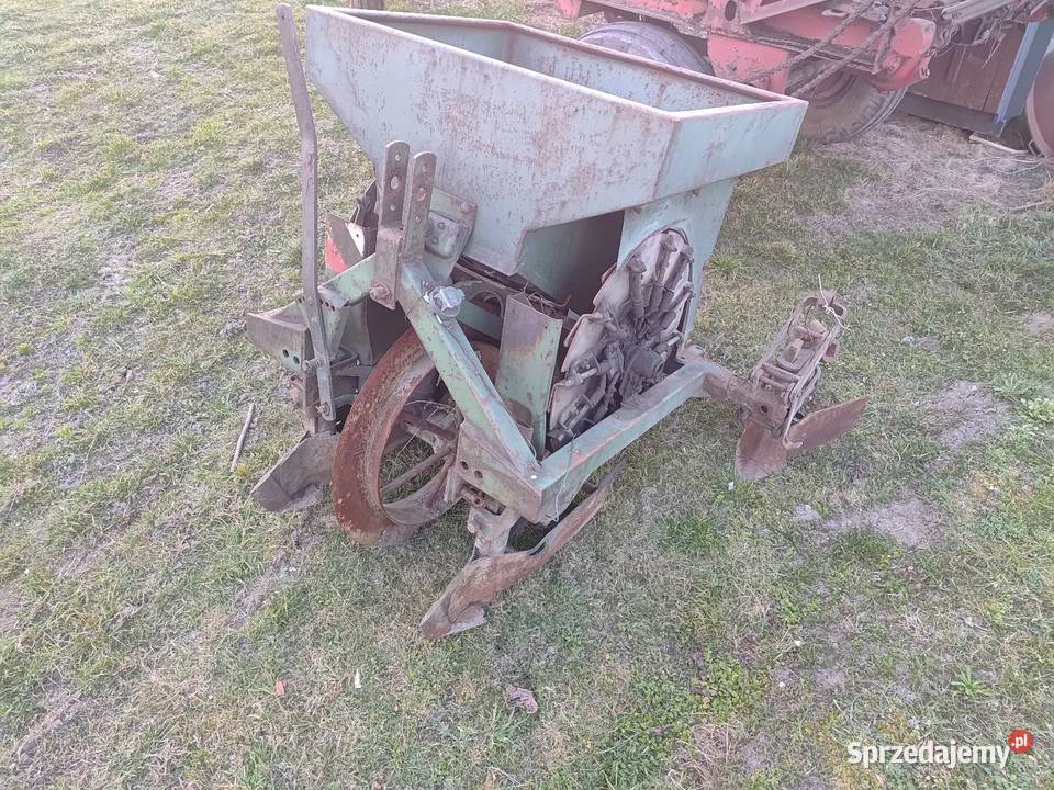 Sadzarka czeska Zabrze