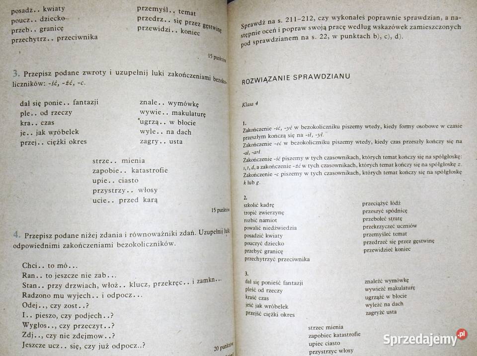 Nauka ortografii i interpunkcji uczniów kl 46 miękka