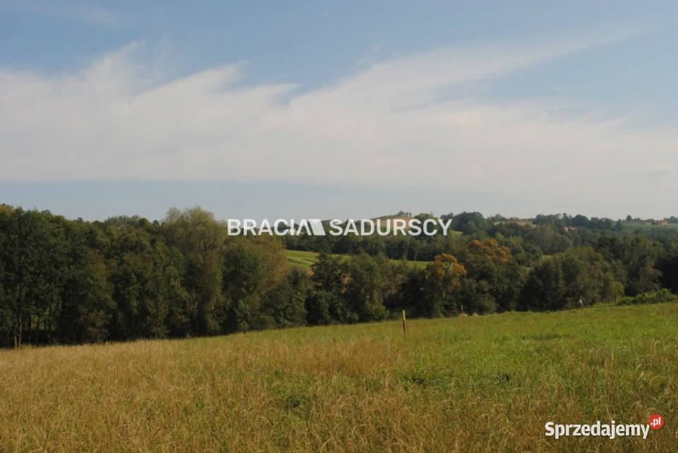 Grunt 9200m2 Gruszów prąd