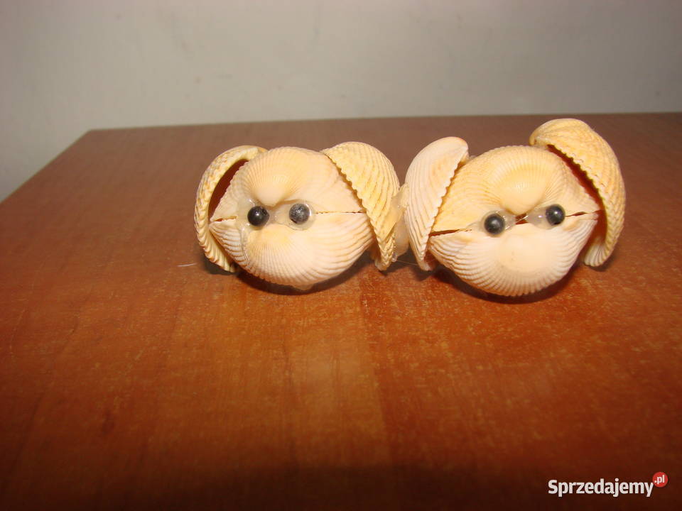 dekoracja z muszelek Pruszcz Gdański