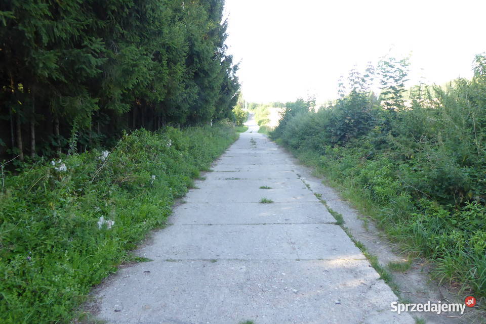 DZIAŁKA Z WARUNKAMI ZABUDOWY W IDZBARKU KAMRATÓW Idzbark