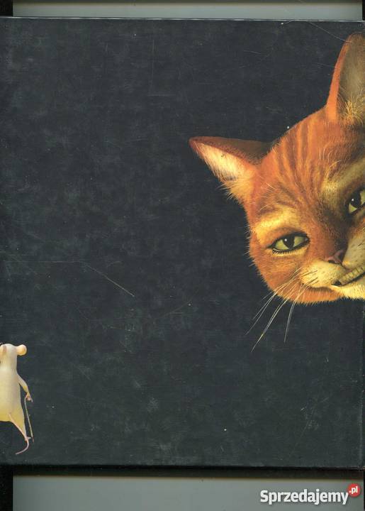 Shrek Zielona strona ekranu Szczecin sprzedam