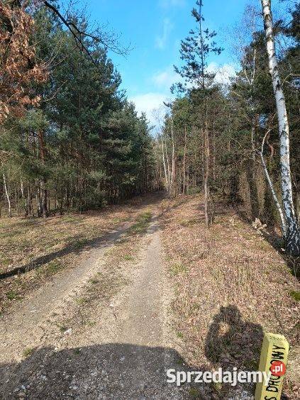 Syndyk sprzeda udział 25 w nieruchomości w Woli Wola Ducka