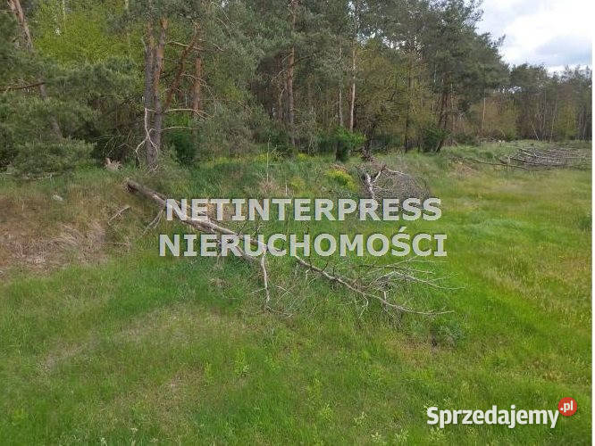 Działka Drezdenko 71795 metrów