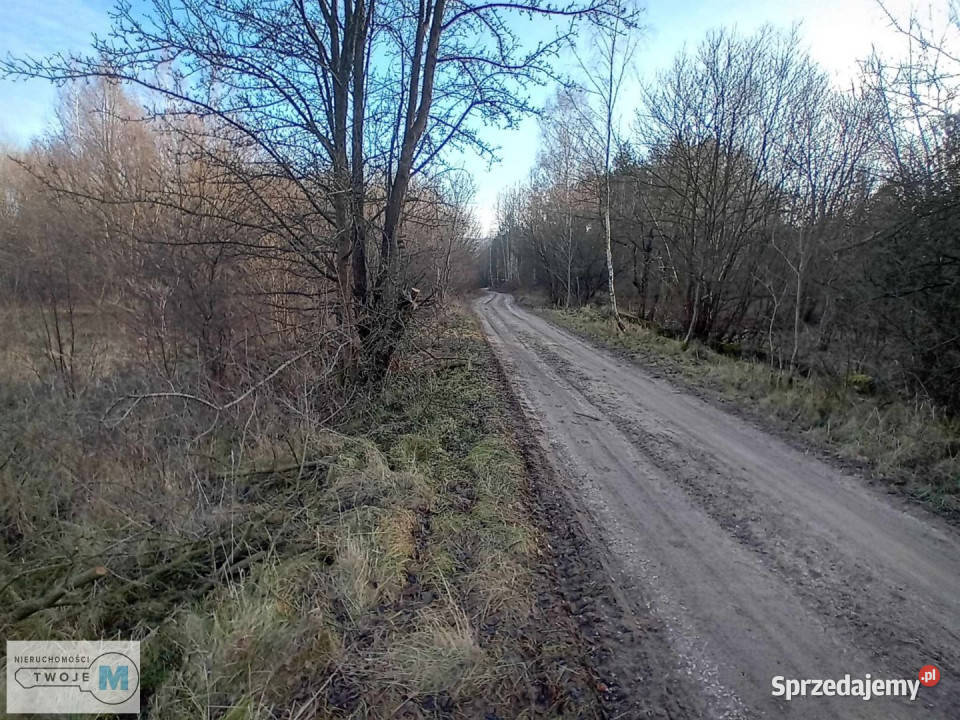 Do sprzedaży działka 17841m Daleszyce woda sprzedam