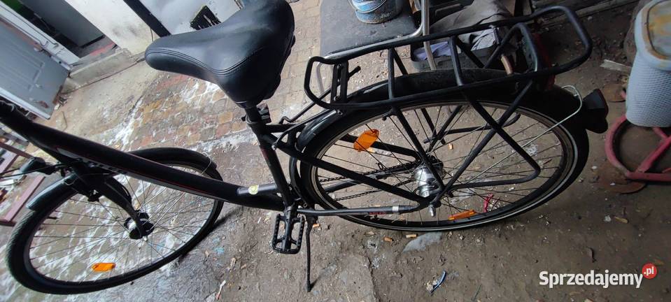 Damka Adler Miejski Niemcy Kcynia sprzedam