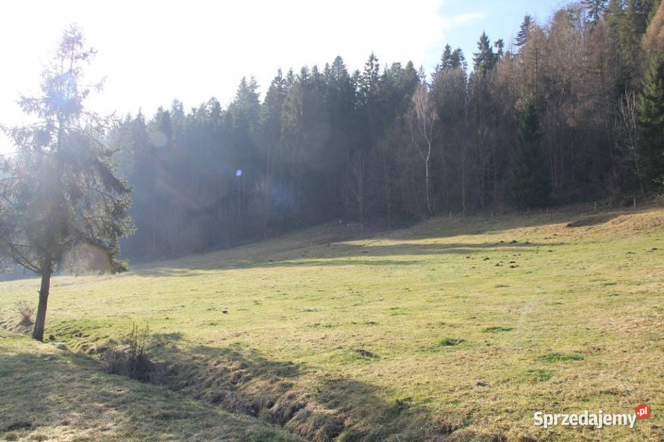 Działka budowlano rolna w miejscowości Grywałd 87zł/m2