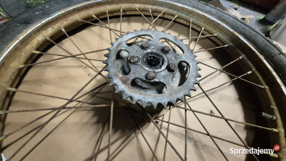 Komar koło Hryniewicze