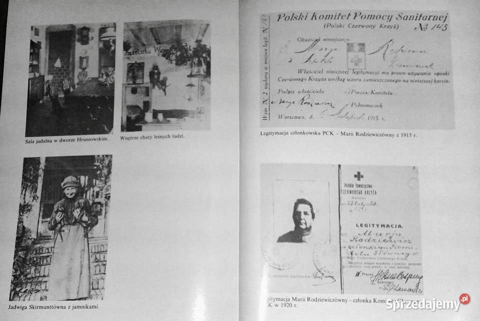 Opowieść o Marii Rodziewiczównie Jan Głuszenia