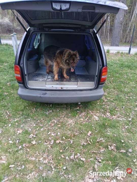 chrysler grand voyager 24 151 koni manual 1997 Szydłowiec