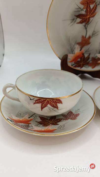 Dwa razy trio jesienne liście azjatycka Zamość