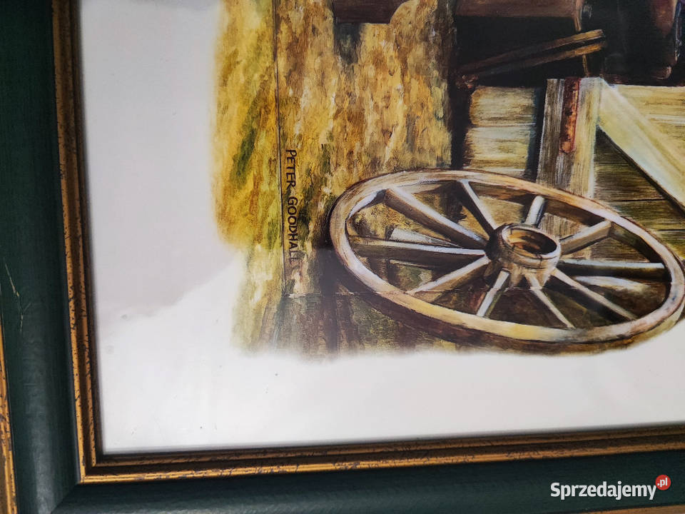 obraz reprodukcja Peter Goodhal Płock