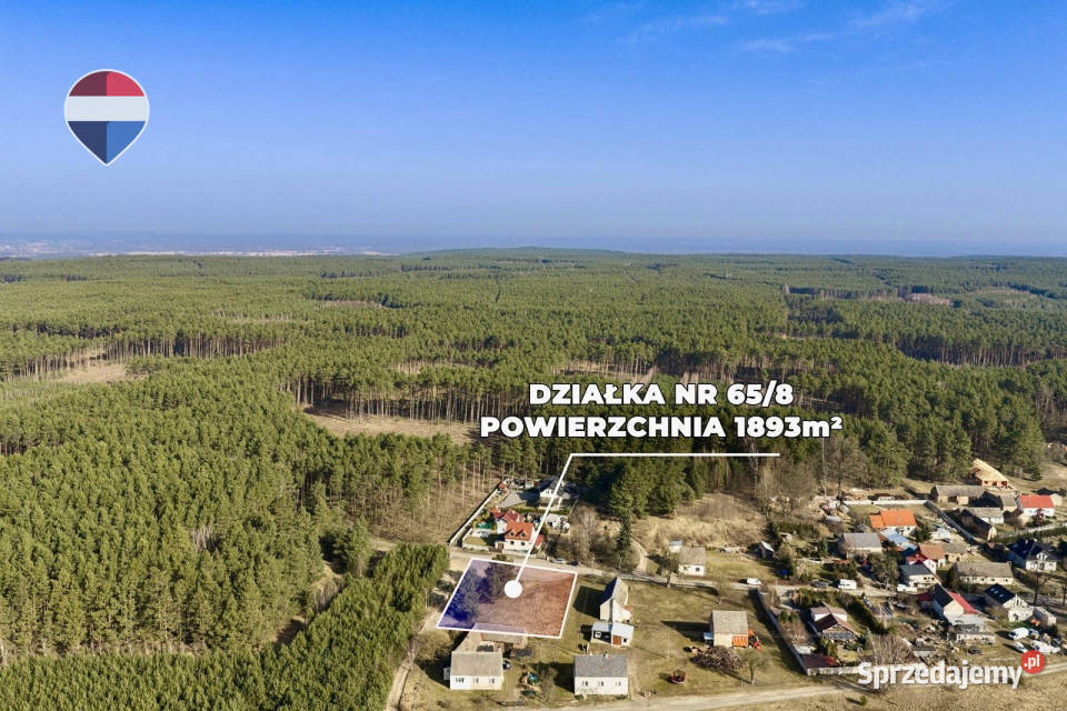 Działka lesie z warunkami zabudowy lubuskie Leśniów Mały