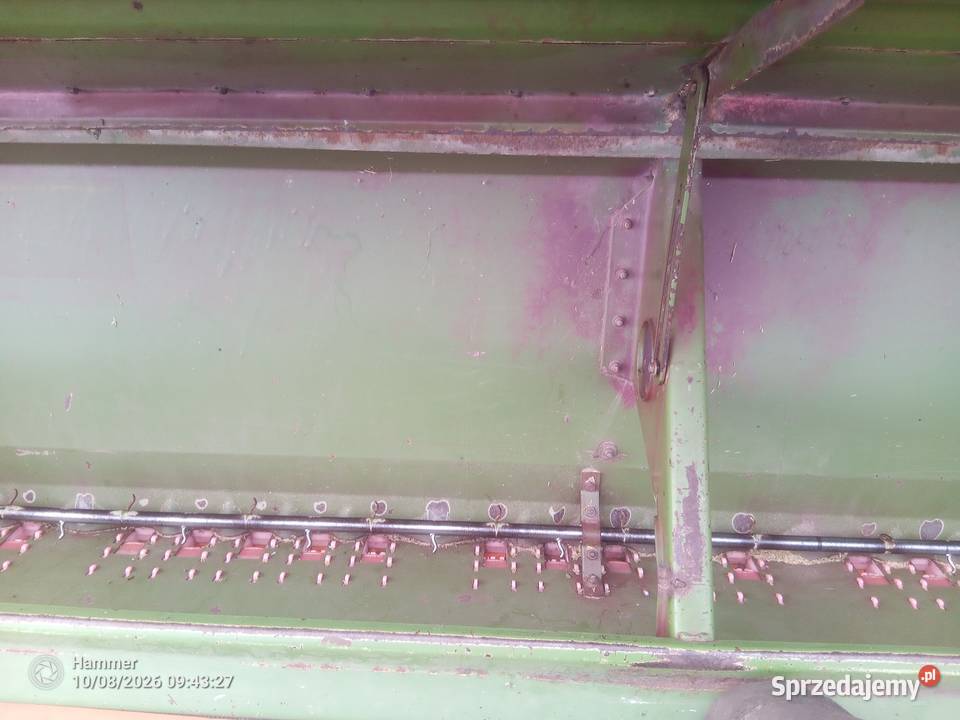 Siewnik Amazone d8 special Rogoźno