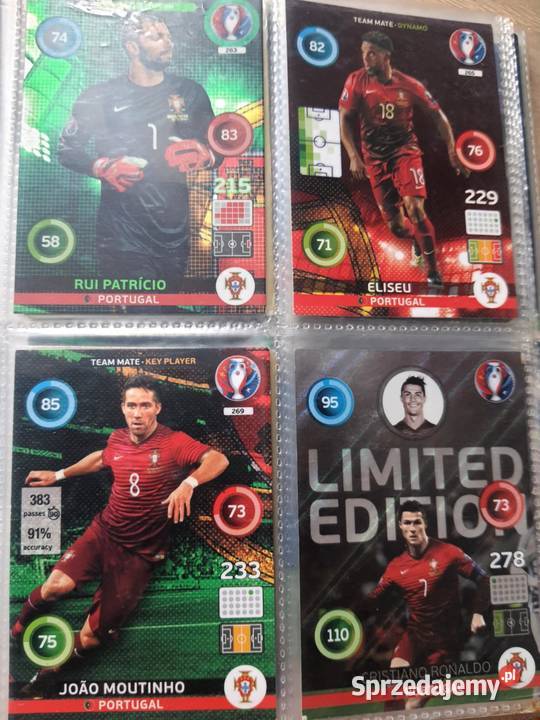 karty sportowe panini