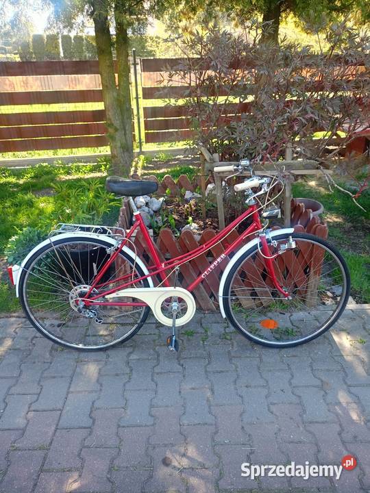Rower damka Miejskie Zawiercie