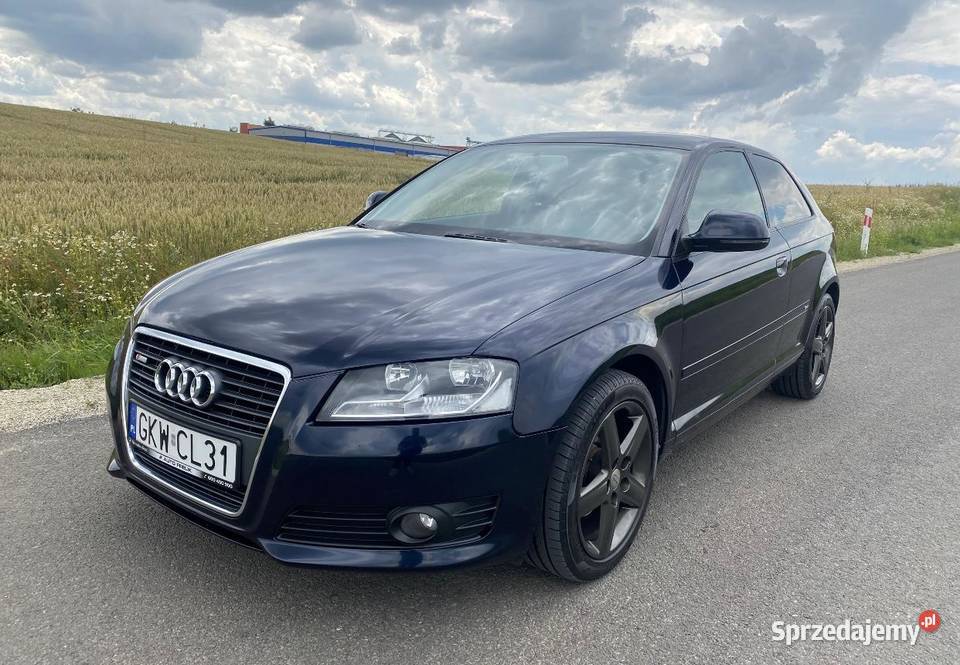 Audi A3 lift 2009r 16 TDI common rail stanniskie Elbląg